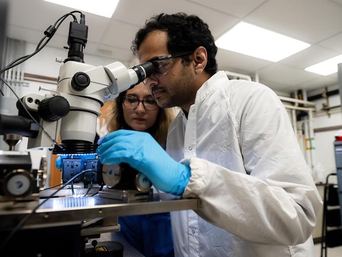 Ebrahimi Lab Photo