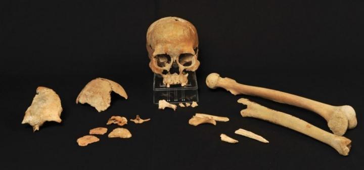 Dual Migration Created Genetic 'melting Pot' of the First Scandinavians