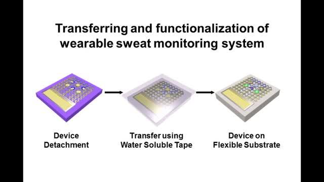 Sweat-based Device Monitors Sugar Levels and Delivers Diabetes Drug (2 of 16)