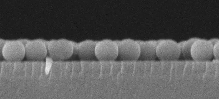 260908-Sugimoto-Glossy-Monolayer