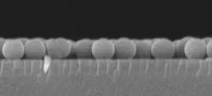 260908-Sugimoto-Glossy-Monolayer