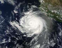Terra Image of Cristina