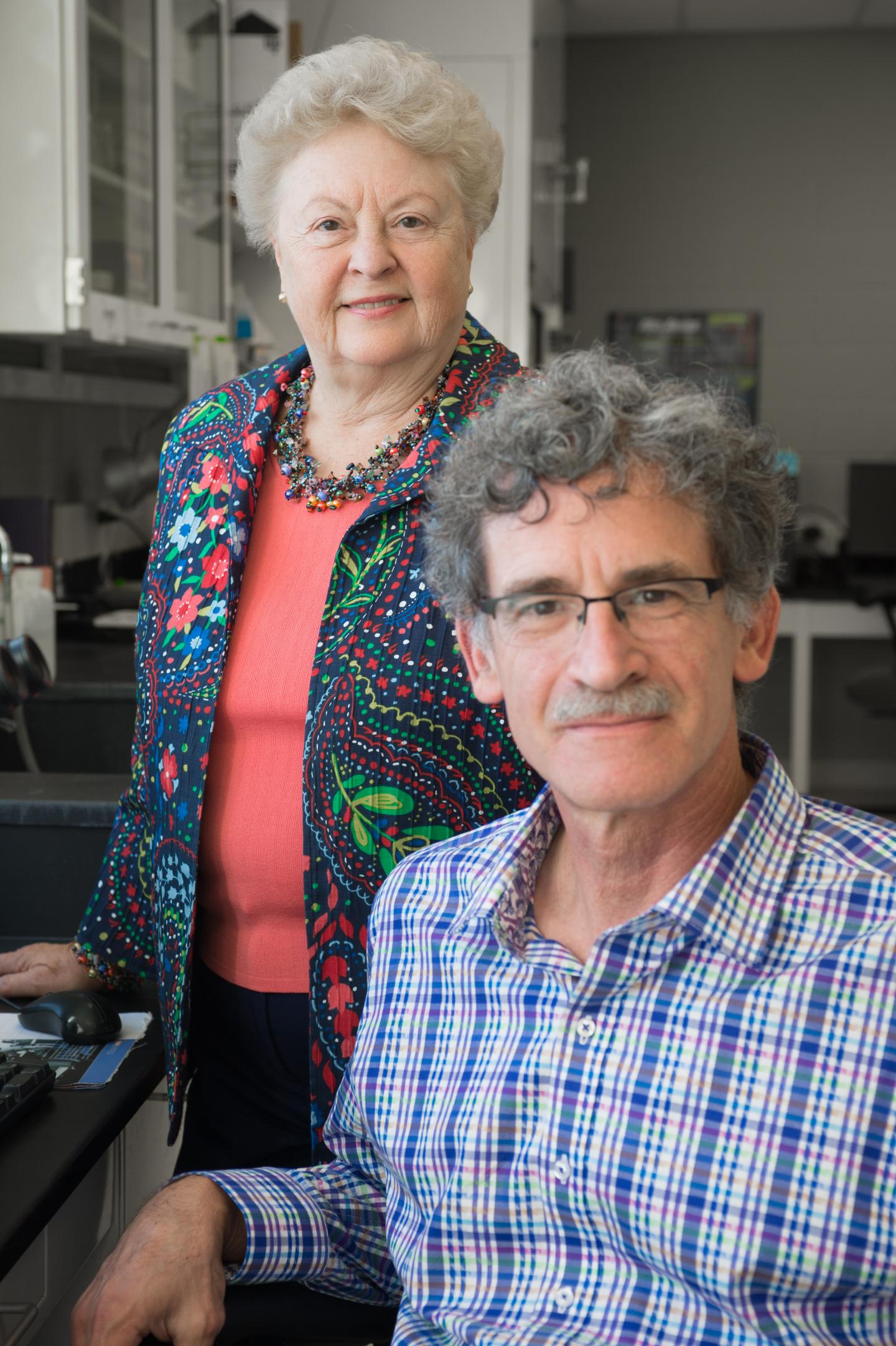 Richard Schwartz and Sandy Haslam, Michigan State University
