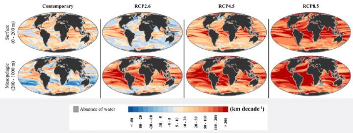 Climate Velocity