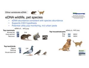 Indicators of rat and other terrestrial wildlife populations in NYC