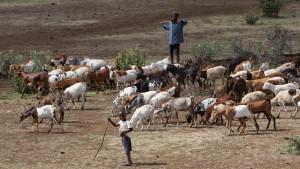 Tanzania's Serengeti National Park at Risk