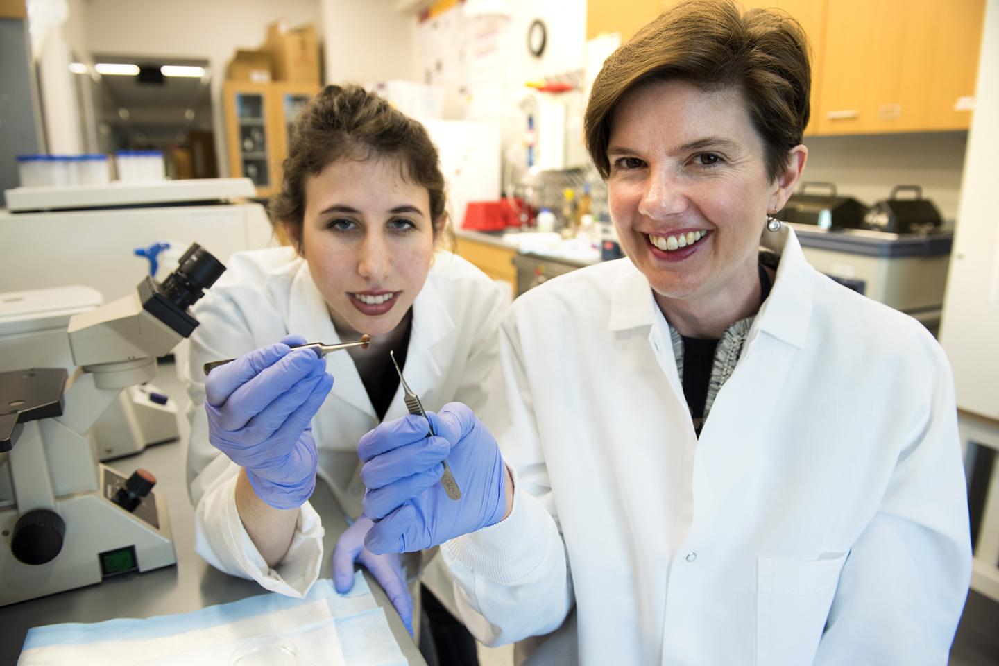 Molly Kupfer and Brenda Ogle, University of Minnesota
