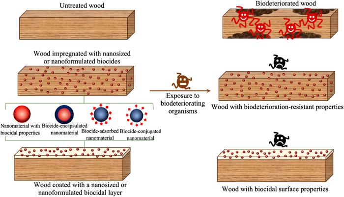 Nano-Wood Shield: New Zealand-led Review Maps Metal, Metal-oxide and Bio-based