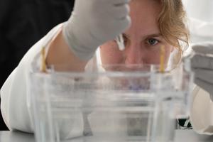 Loading a western blot
