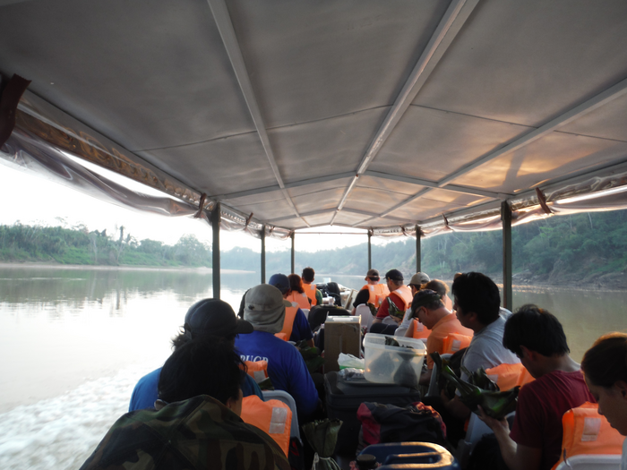Amazon Forest study