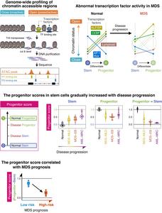 Genome-wide profiling of chromatin accessible regions