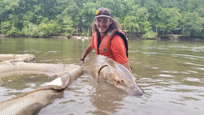 STURGEON 2