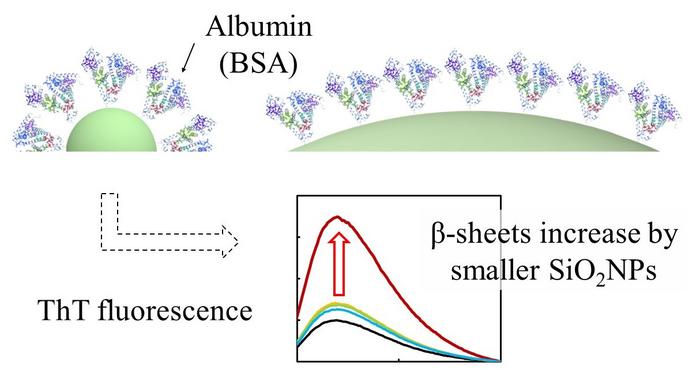 Interaction of bovine serum albumin (BSA) with silica nanoparticles