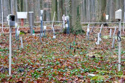 Wireless Sensor Network Monitors Microclimate in the Forest