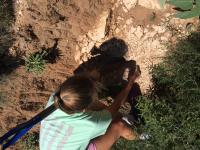 Gathering Samples