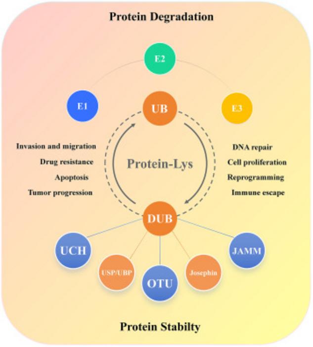 FIG 2