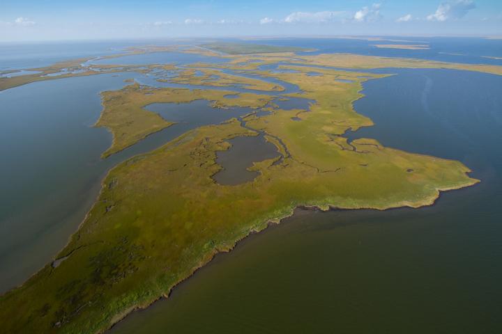 Louisiana Land Loss