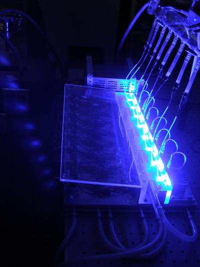 DNA photocleavage assay