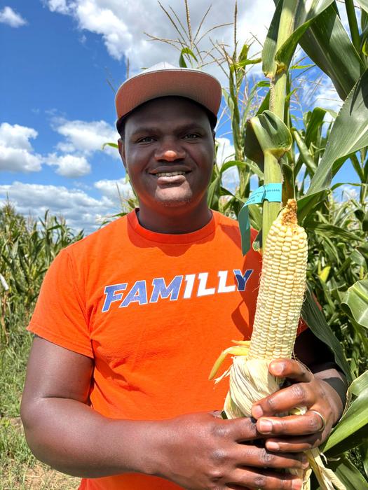 White corn