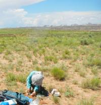 New Scientific Approach Assesses Land Recovery Following Oil and Gas Drilling (1 of 3)