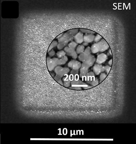 SEM Micrography