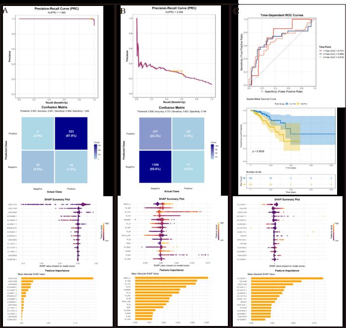 Partial Performance of the E2E Model on TCGA and CHARLS Datasets
