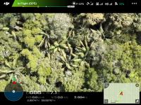 The View on the Screen of Drone Controller