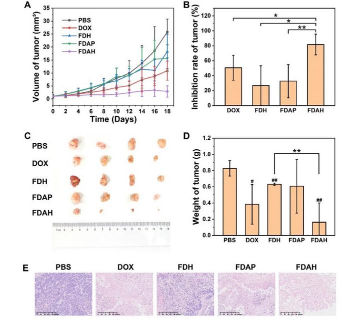 Figure 1: Antitumor effects of the nanoparticles in vivo.