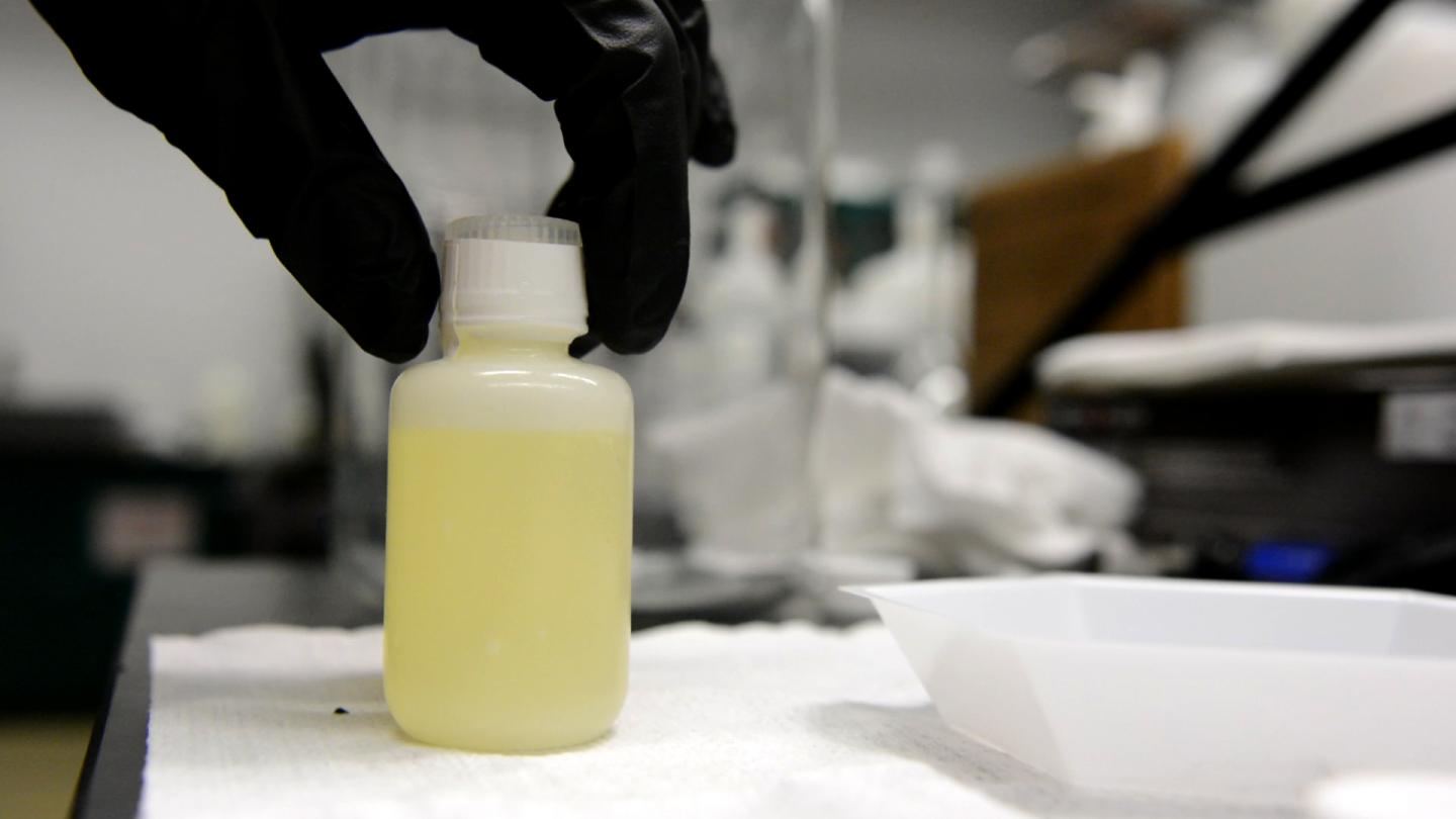 Human Urine