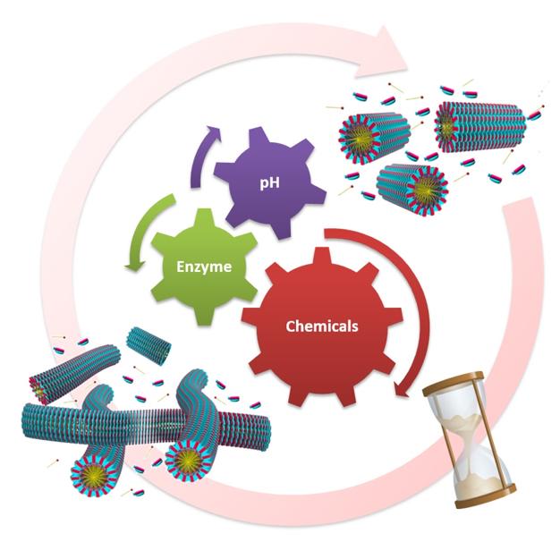 Stimuli Controlled Living Polymerization