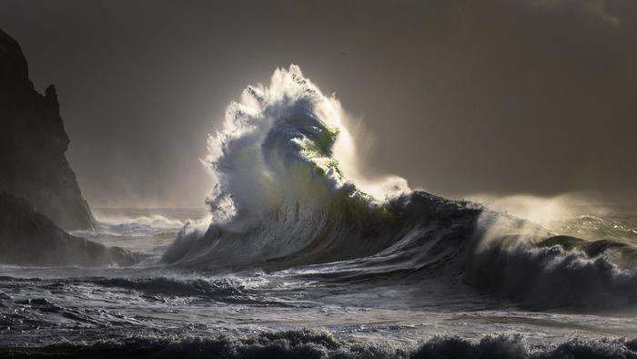 Second Prize: Sea Dragon