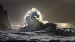 Second Prize: Sea Dragon