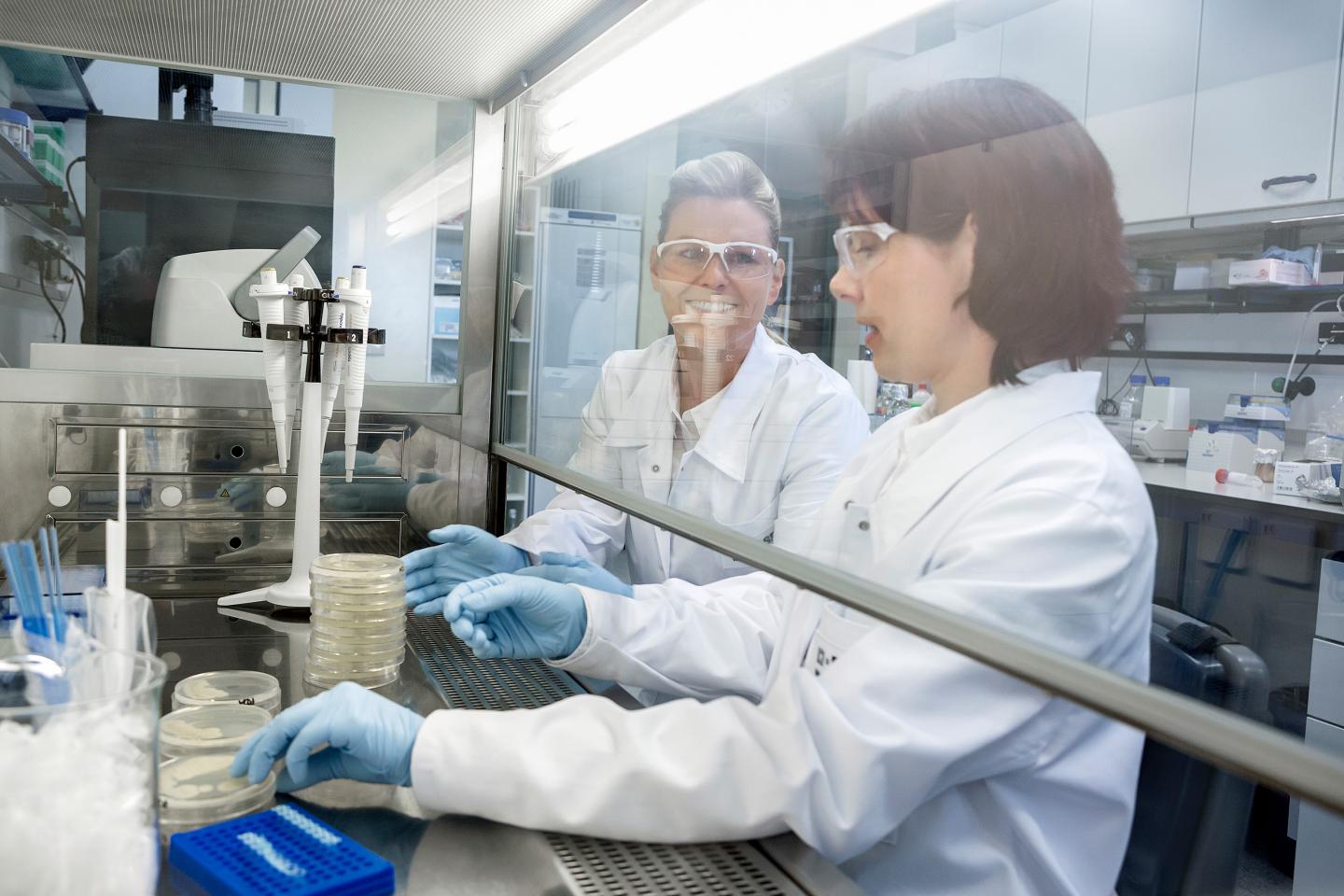 White Biotechnology Research at BASF