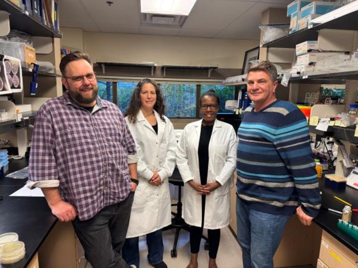 Antibody researchers at UW Medicine