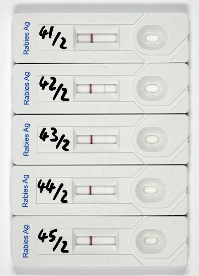 Results of 5 Rabies Antigen Test Strips