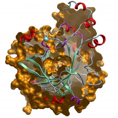 JmjD2C -- the SGC's 1m000th Structure