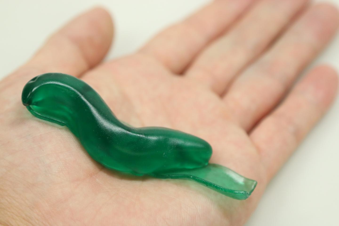 Slug Mucus Inspires New Type of Surgical Glue to Close Wounds (7 of 8)