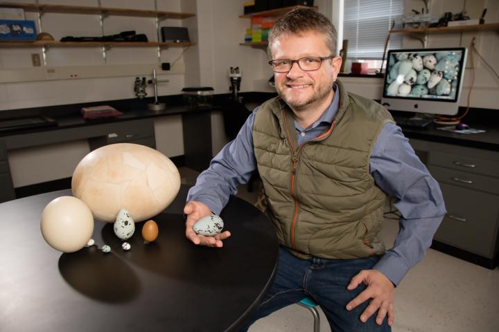 University of Illinois Animal Biology Professor Mark Hauber