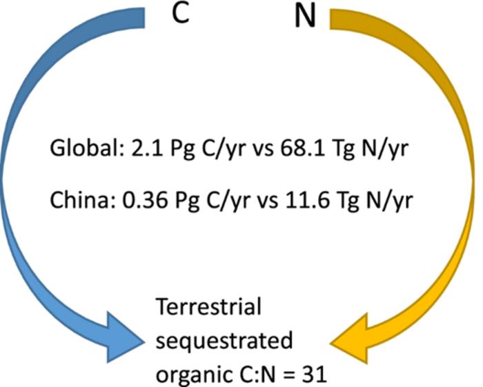 Applying C:N ratio to assess the rationality of estimates of carbon sequestration in terrestrial ecosystems and nitrogen budgets