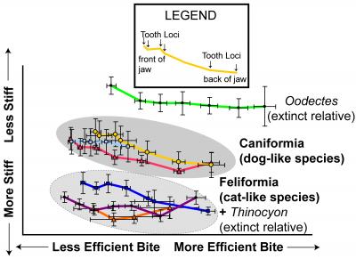 Profile Plot