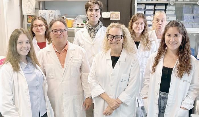 Descifrado el mecanismo que determina la complejidad del receptor de glucocorticoides