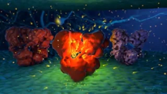 Cryo-electron Microscopy