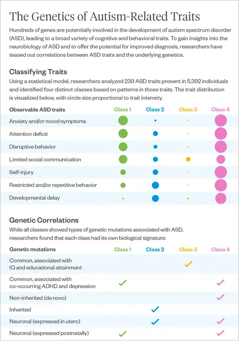 Infographic