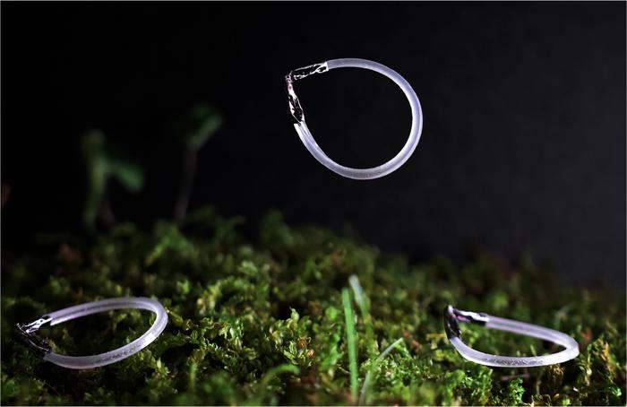 Light-Powered Jumping Robots