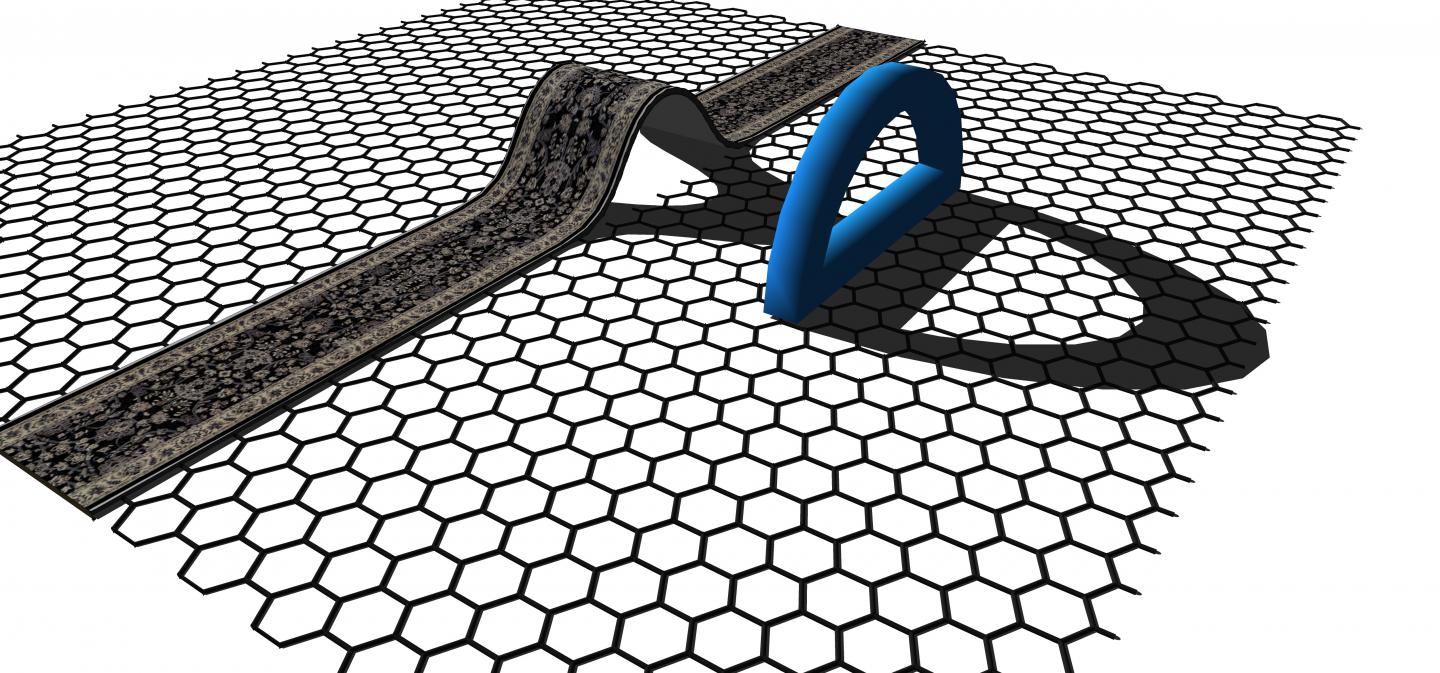 D-shaped Loops