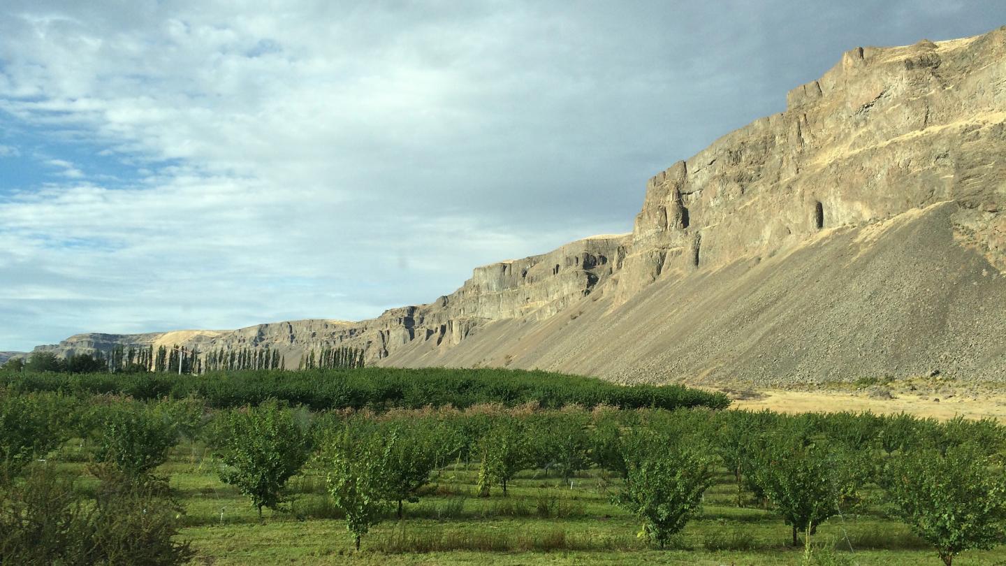 Canyons