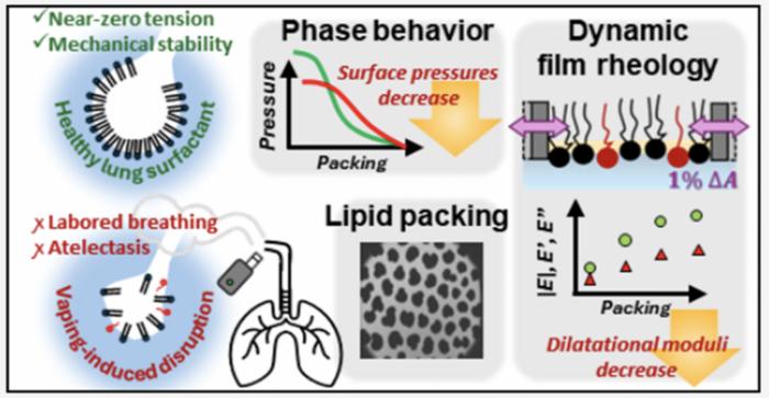 Vaping and lung surfactant
