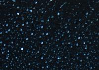 Liquid crystal coacervate droplets visualised by polarisation microscopy
