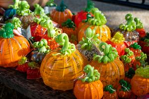 Glass Pumpkin Patch at The Morton Arboretum