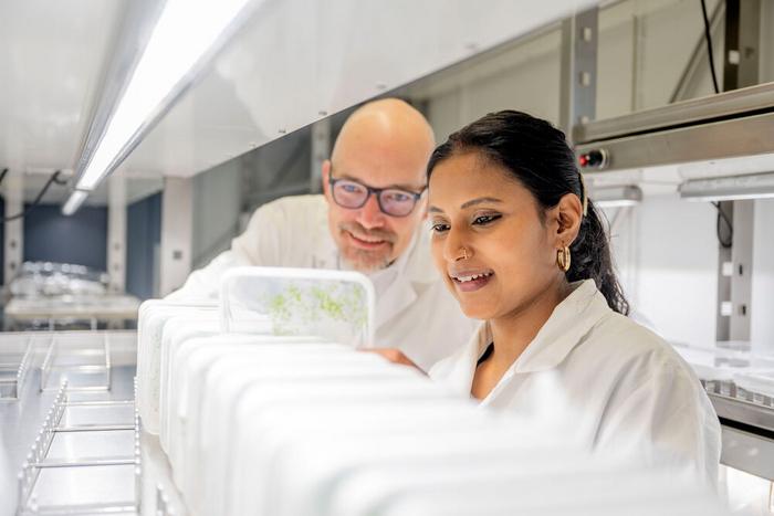 Researchers in the lab